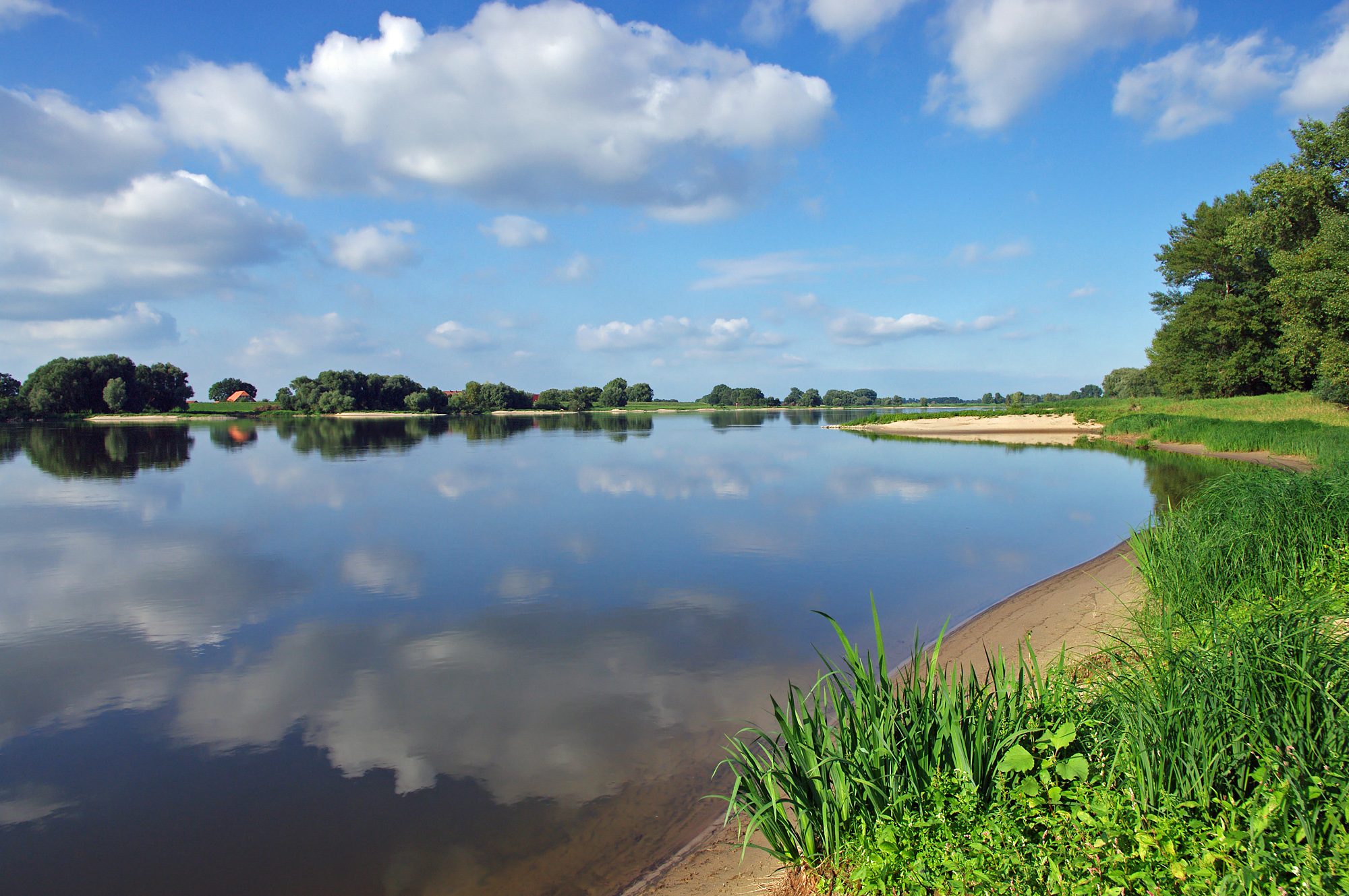 Biosphärenreservat „Niedersächsische Elbtalaue“
