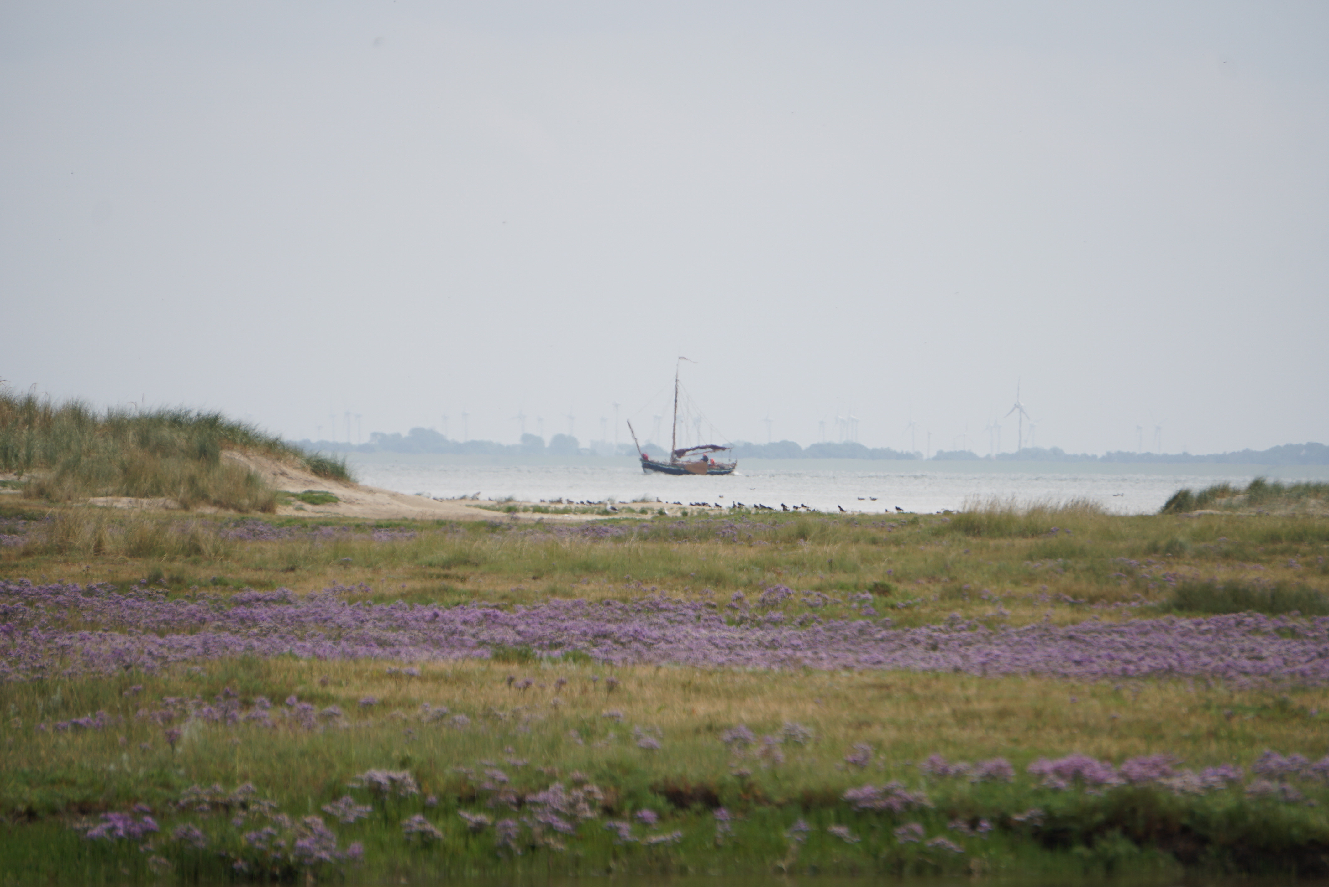 Nordseeküste