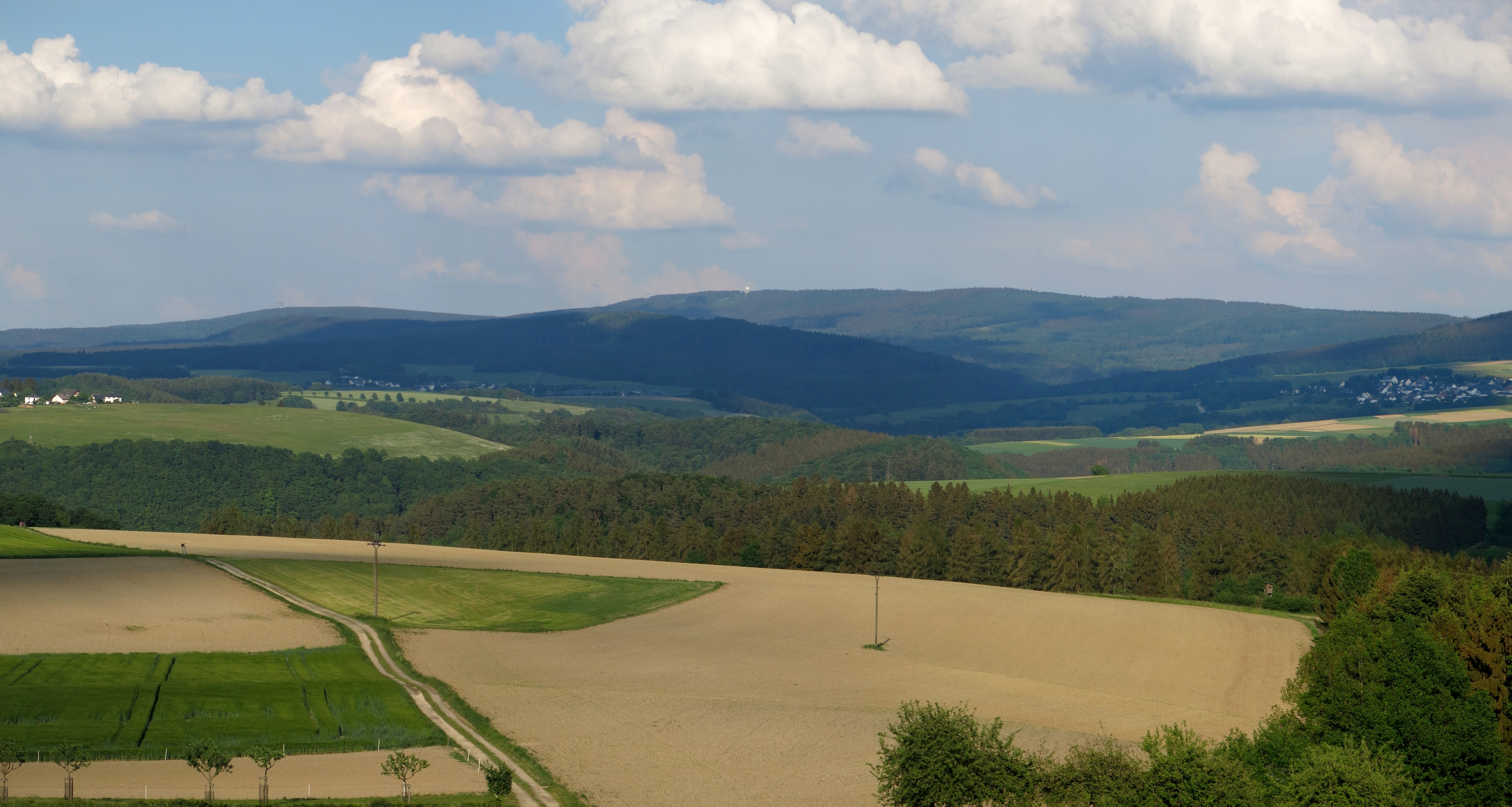 Schwarzwälder Hochwald