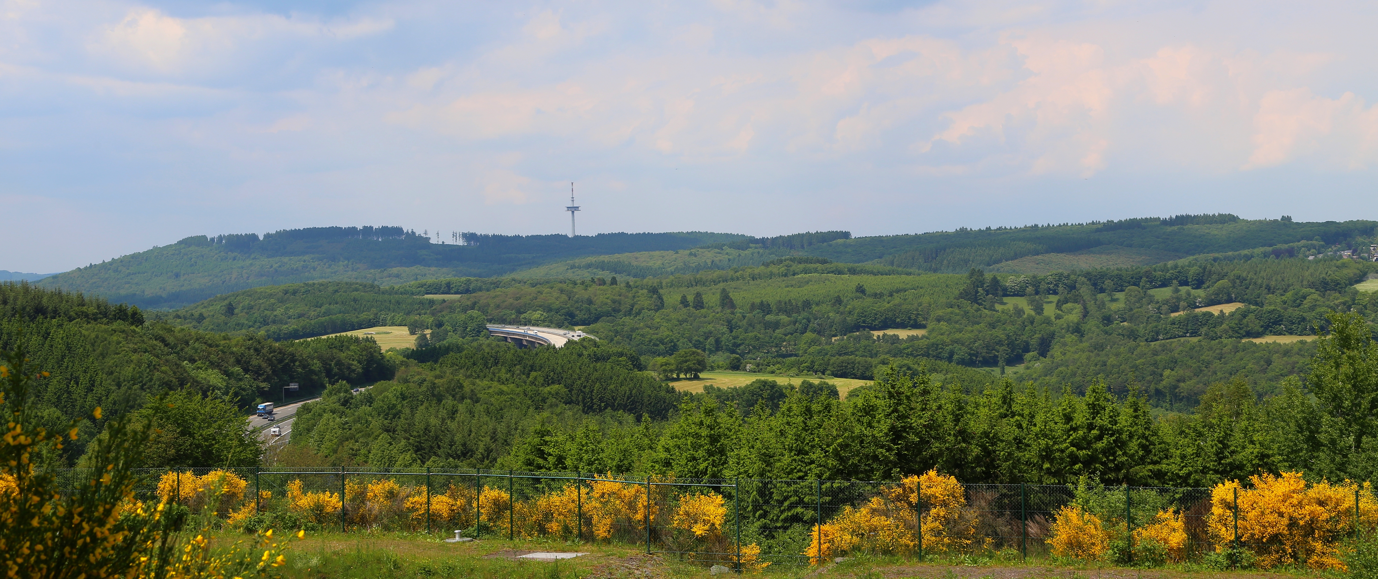 Siegerland