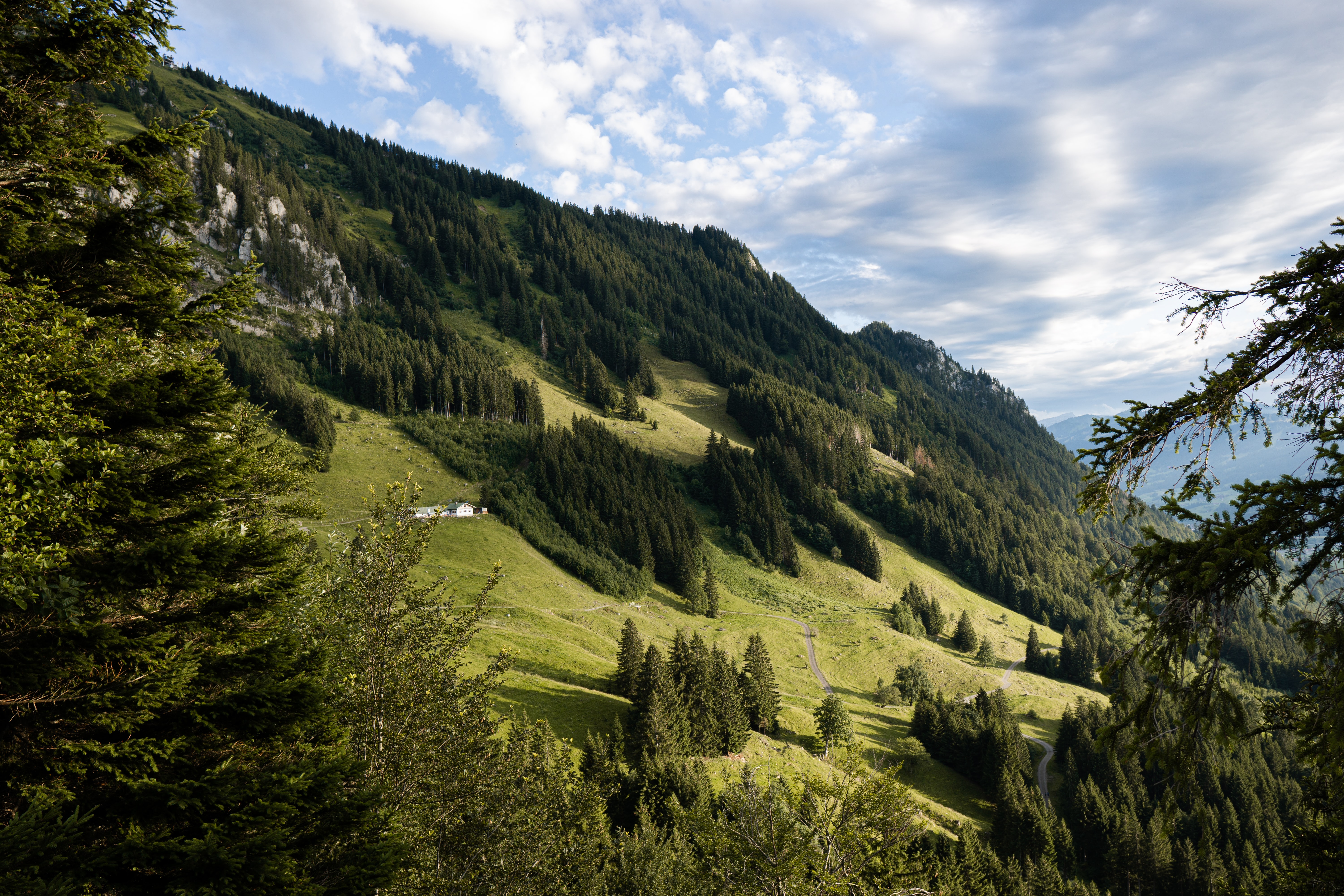Allgäu