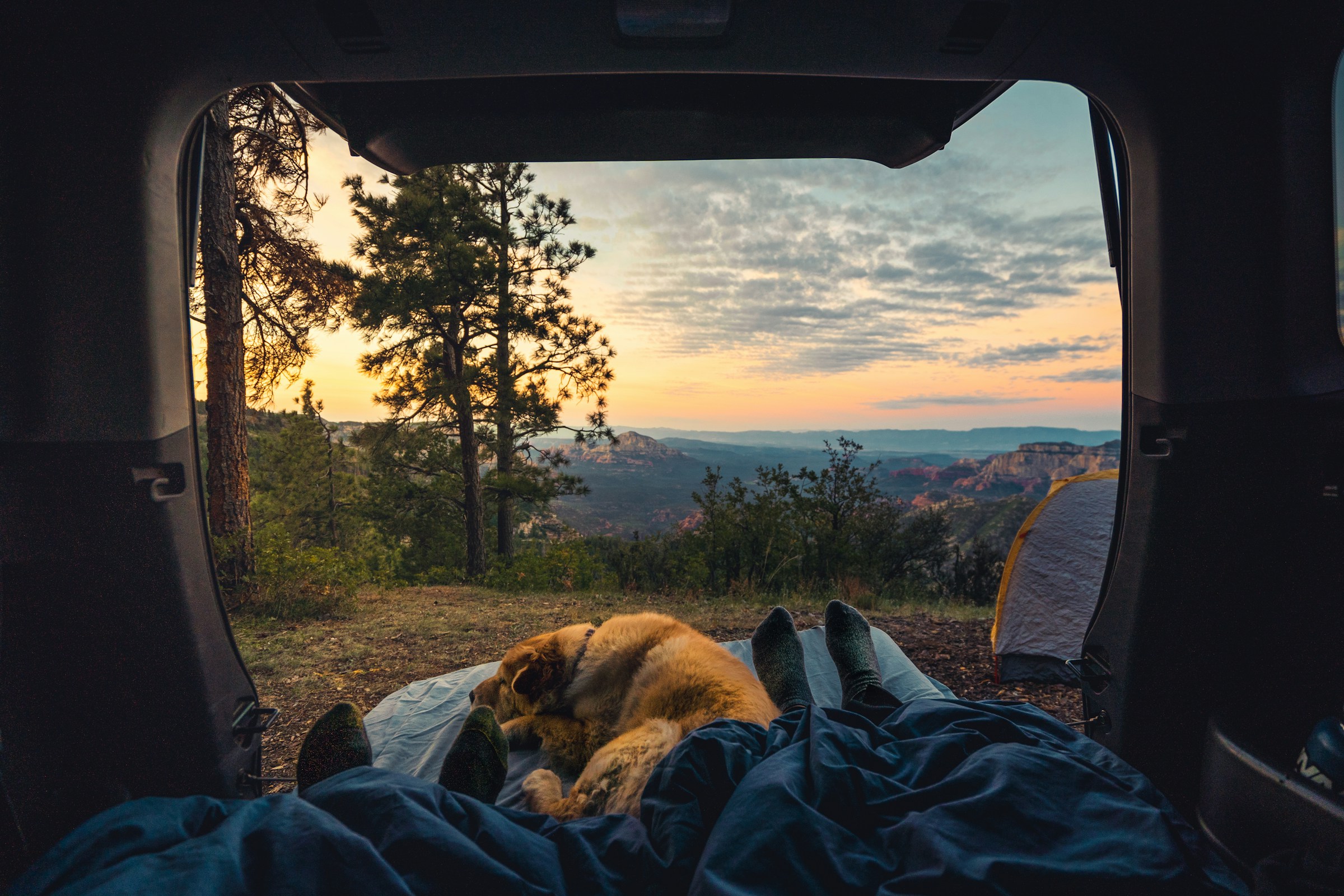 Camping mit Hund