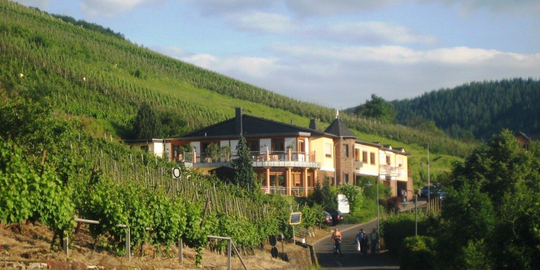 4 Sterne Weingut Zecherhof