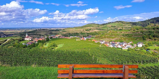 Weingut Mangel