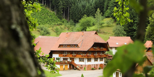 Bläsihof