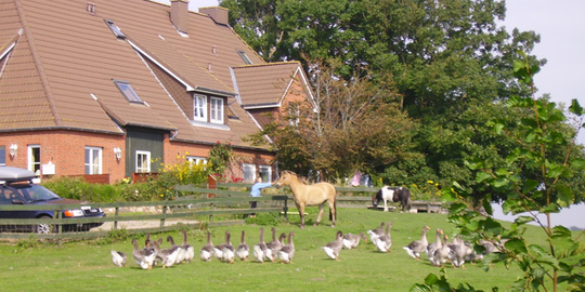 Ferienhof Op de Warft