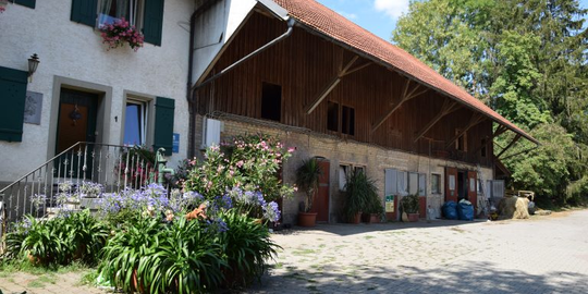 Ferien-Domizil Spieß