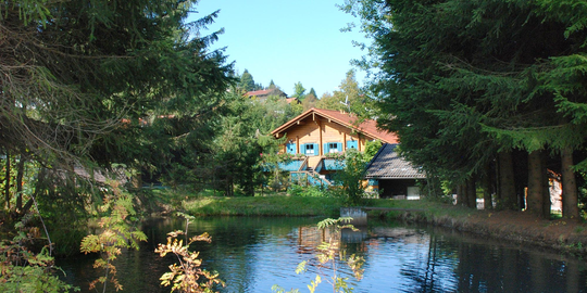 Ferienhaus Mitterdorf