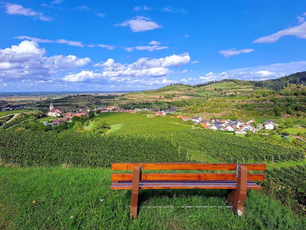 Weingut Mangel