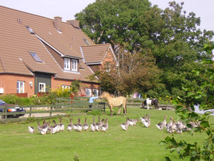Ferienhof Op de Warft