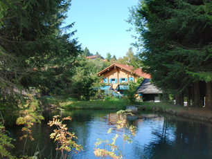 Ferienhaus Mitterdorf