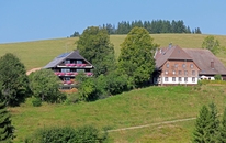 Ferienhaus Neuhof
