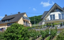  Weingut Sauer – Kettermann