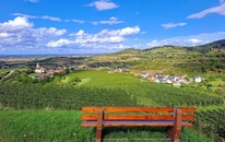 Weingut Mangel