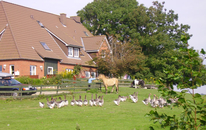 Ferienhof Op de Warft