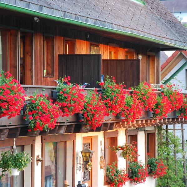 Ferien-Landhaus Isolde