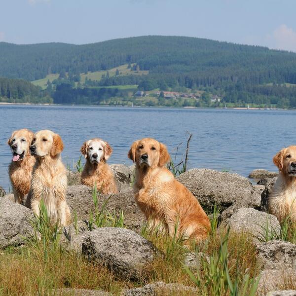 Ferien-Landhaus Isolde