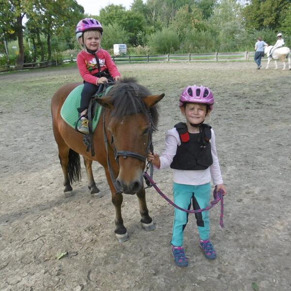 Nordsee-Ferien -Bauernhof am "Nationalpark Wattenmeer" in Dithmarschen