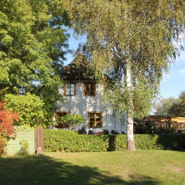 Rohrhus Rügen Urlaub unterm Reetdach