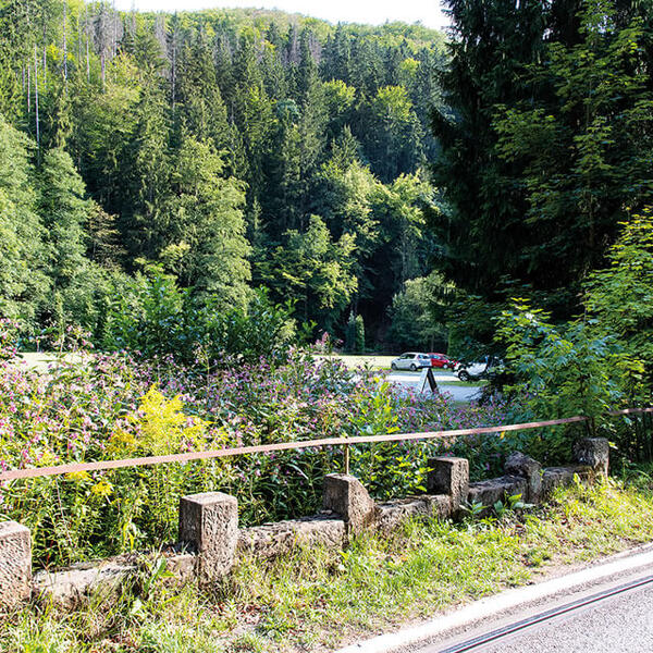 Pension im Kirnitzschtal