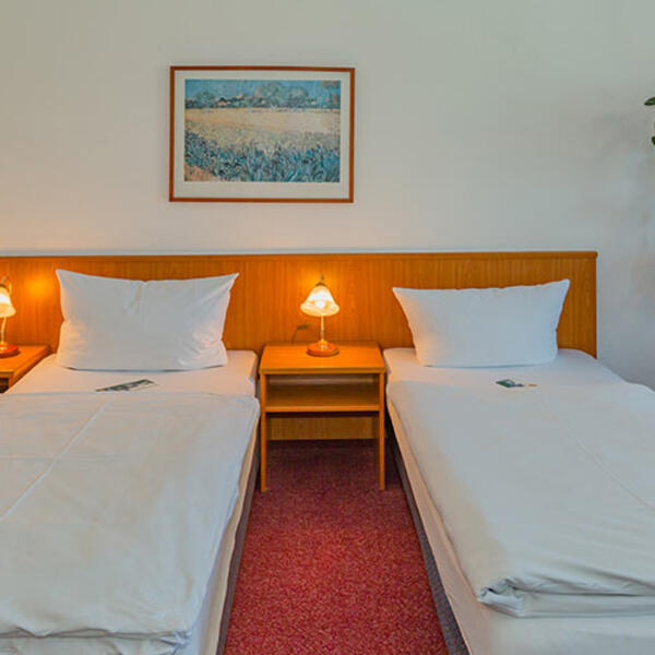 Zum Alten Schweden Wirtshaus & Pension