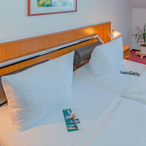 Zum Alten Schweden Wirtshaus & Pension