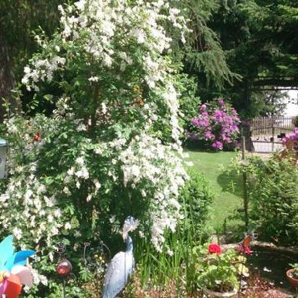 3 Sterne Hotel-Pension Altes Forsthaus