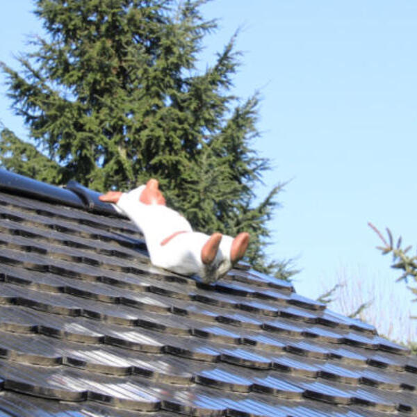 Pension Am blauen Dach