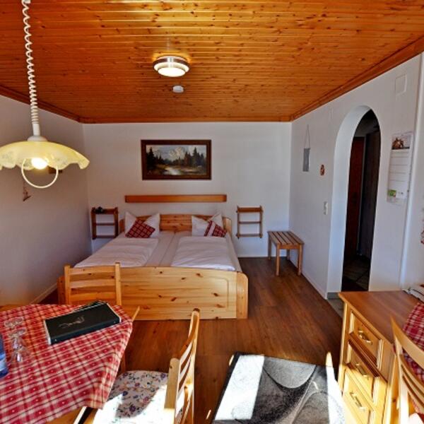 Wohn-/Schlafbereich in dem Appartement "Edelweiß"