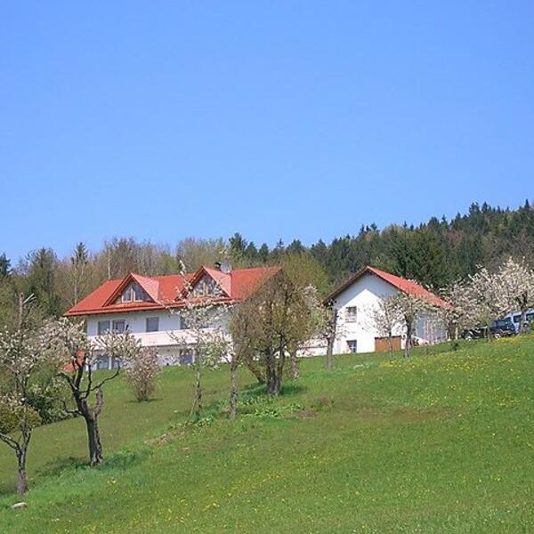 5 Sterne Zur Schönen Aussicht