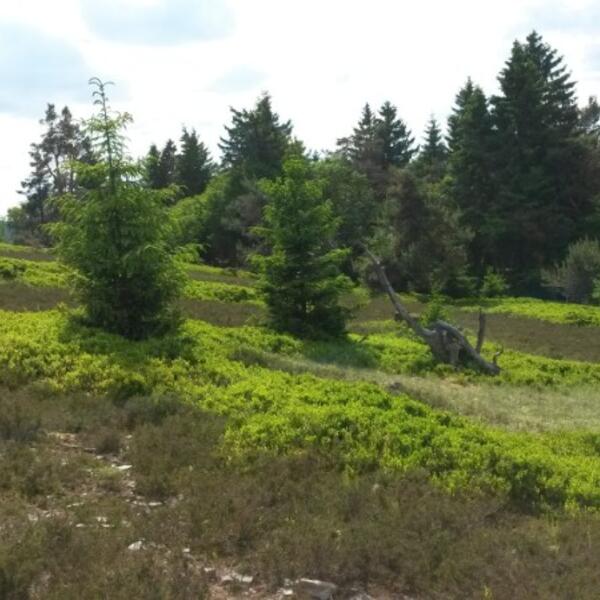 Ferienwohnung Ausblick