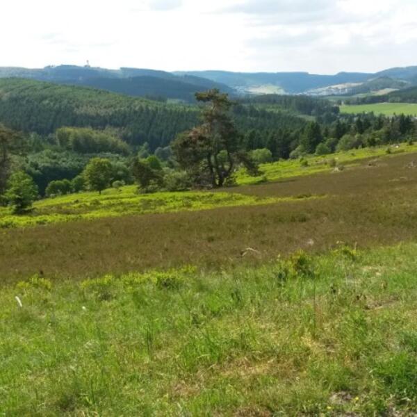 Ferienwohnung Ausblick