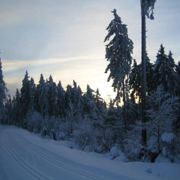 Ferienwohnung Ausblick