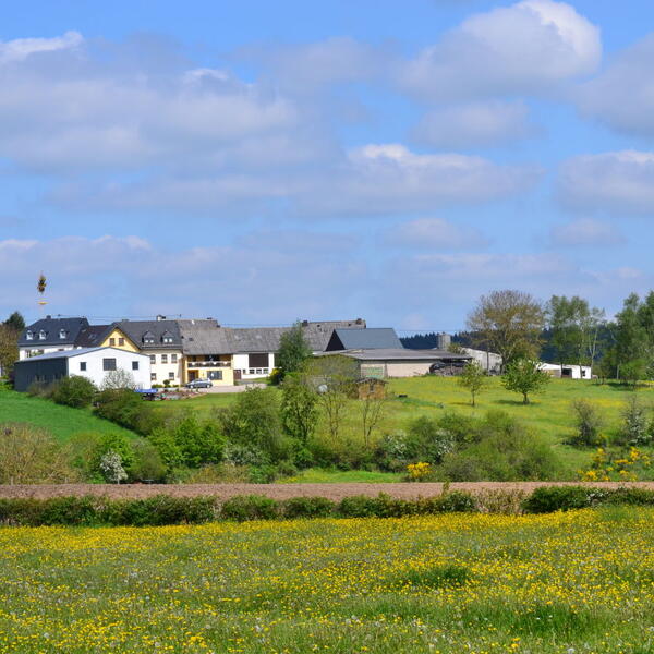 Bermeshof in der schönen Eifel
