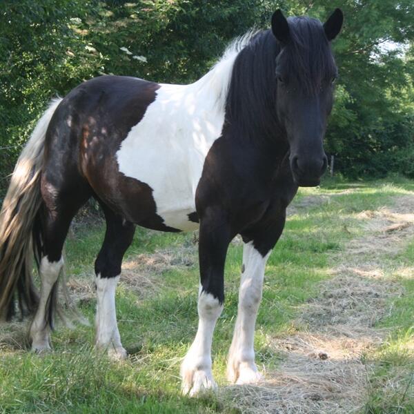 Ferienhof Block in Brodersby an der Ostsee