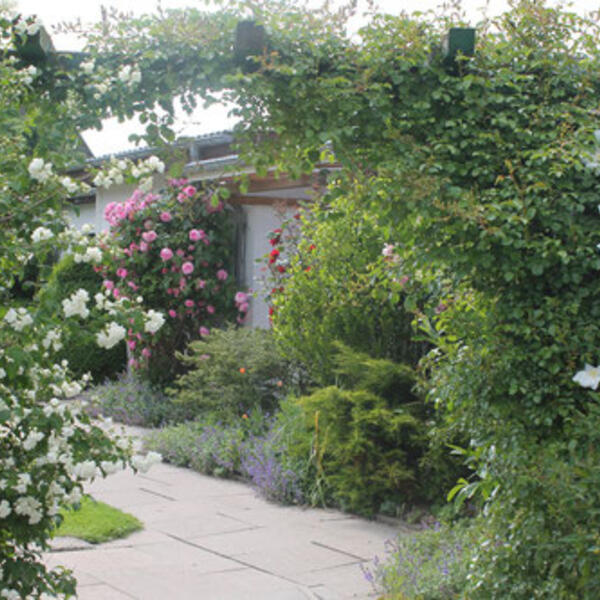 Nordsee-Ferien -Bauernhof am "Nationalpark Wattenmeer" in Dithmarschen