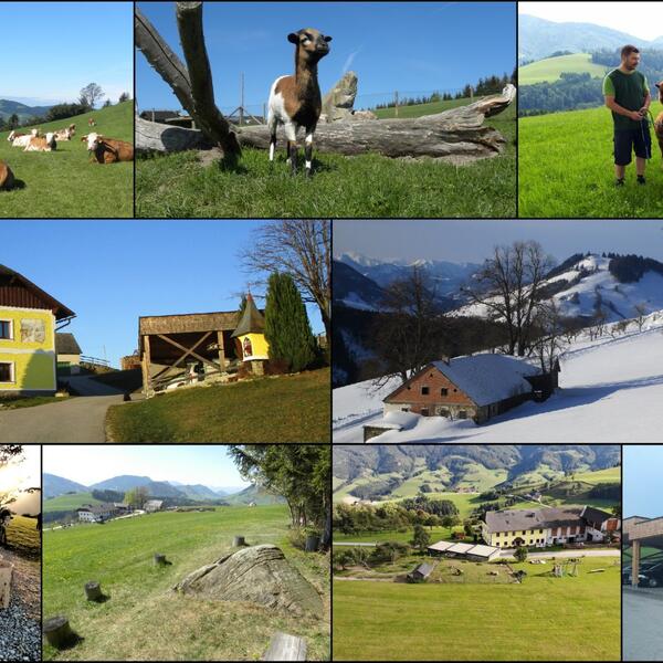 Urlaub am Bio-Bauernhof - Mitterhirschberg