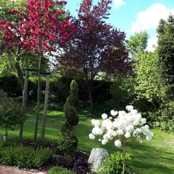 Gasthof Zur Linde Hotel Garni