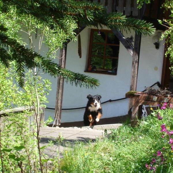 Ferienhaus Eichehüsli