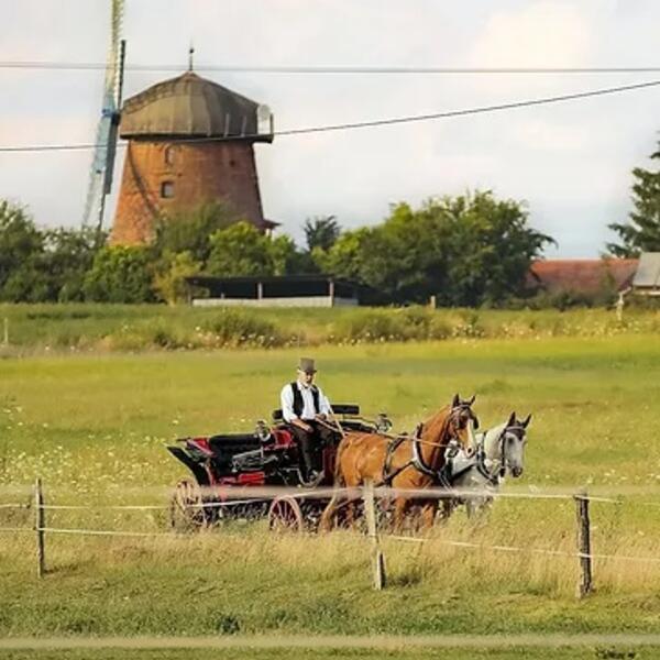 Pension Zum Rheinsberger Leuchturm
