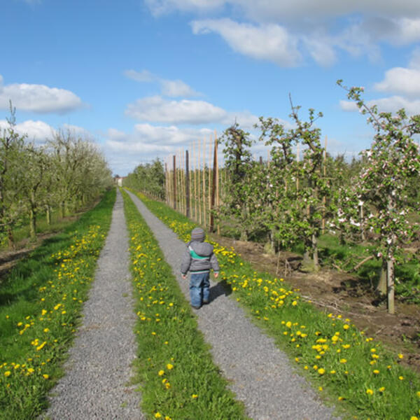 Ferienwohnung am Estedeich