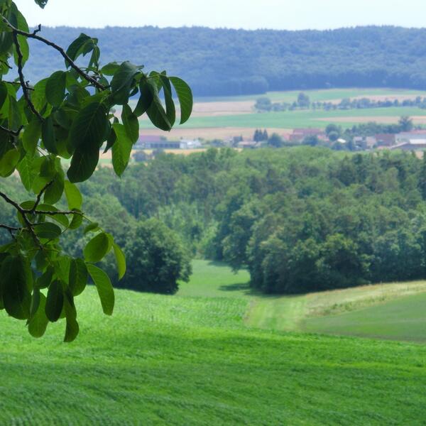 4 Sterne Winzerbauernhof Felbinger