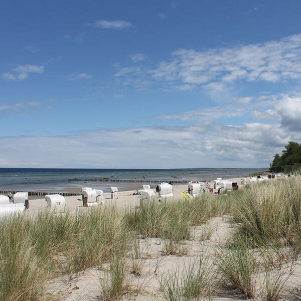 Ferienhaus Radmer Poel