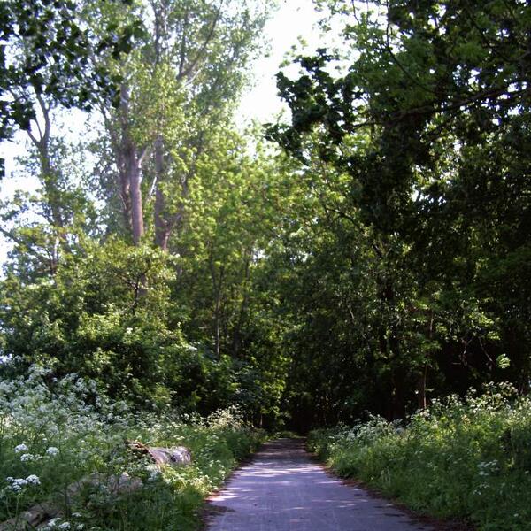 Ferienwohnung - Eldena