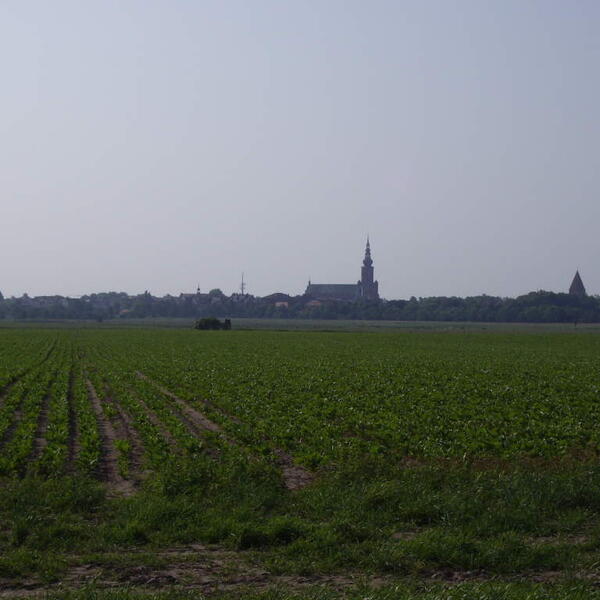 Ferienwohnung - Eldena