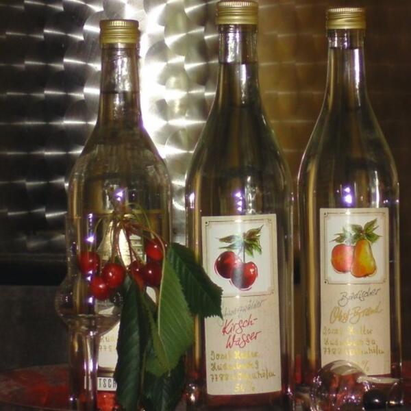 Ferienwohnungen Halter