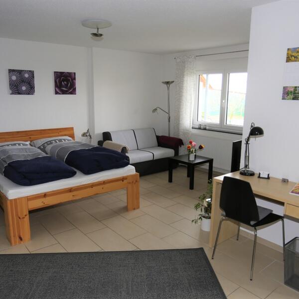 Ferienwohnung Rheingeschaut