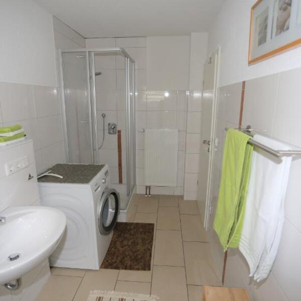 Ferienwohnung Rheingeschaut