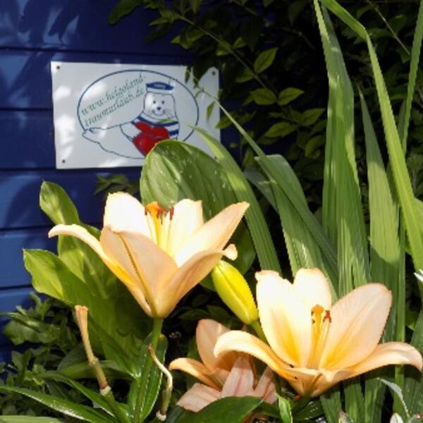 Pension Haus Ahrens bis 5 Personen