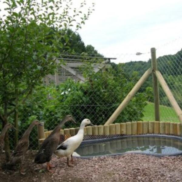 4 Sterne Haus Eichin